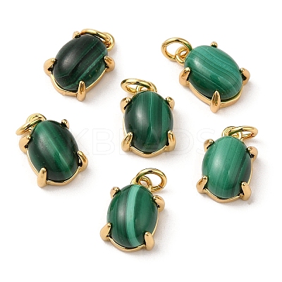 Natural Malachite Dyed Oval Charms G-A034-06G-1