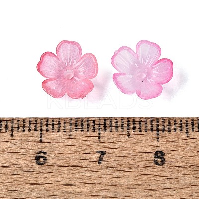 Transparent Plastic Bead Caps KY-Q005-02A-10-1