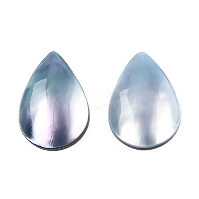 Natural Turbo Cornulus/Top Shells Cabochons SSHEL-N003-157A-1