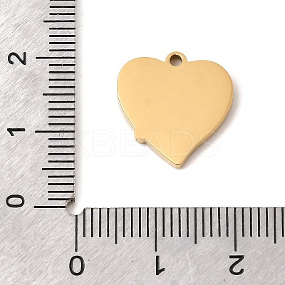304 Stainless Steel Pendants STAS-K297-06G-1