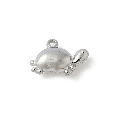 304 Stainless Steel Charms X-STAS-F320-13P-1