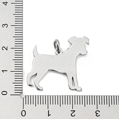 Non-Tarnish 304 Stainless Steel Pendants STAS-E205-12P-1