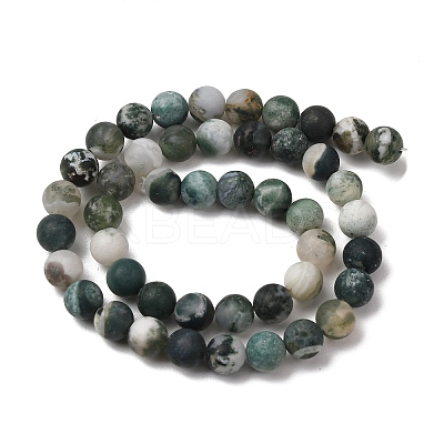 Natural Tree Agate Beads Strands G-T106-038-1