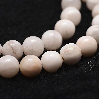 Natural White Crazy Lace Agate Bead Strands G-D840-55-10mm-1
