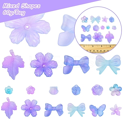 60G Transparent Acrylic Beads OACR-FS0001-90B-1