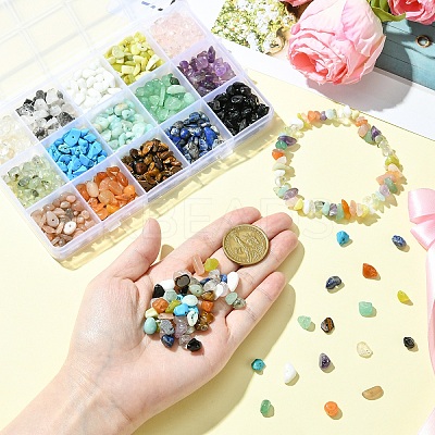 210g 14 Styles Natural Mixed Gemstone Chip Beads and 15g Opaque Glass Chip Beads Kits G-YW0002-37-1