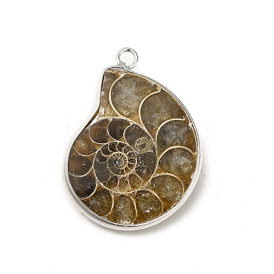 Natural Conch Fossil Pendants BSHE-E025-02P-1