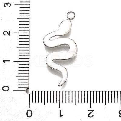 304 Stainless Steel Pendants STAS-M116-25P-1