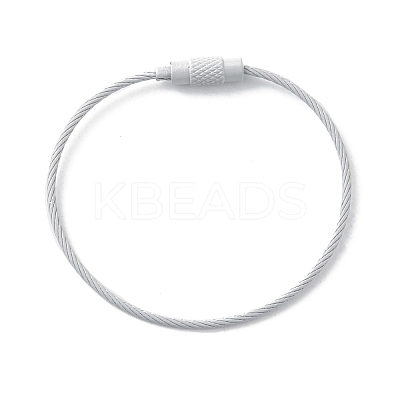 Baking Paint Stainless Steel Cable Wire Keychain AJEW-WH0413-15N-1