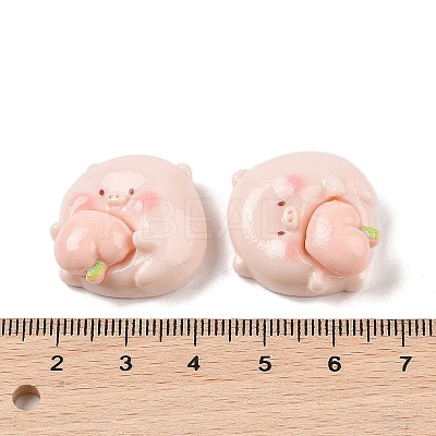 Opaque Resin Decoden Cabochons LS-RESI-K040-01C-1