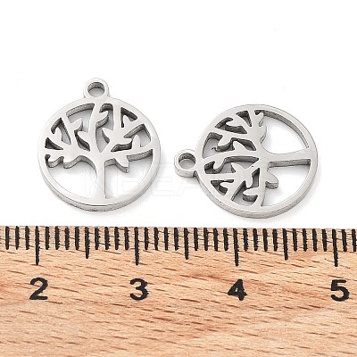 Non-Tarnish 316 Surgical Stainless Steel Charms STAS-Q314-03P-1