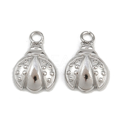 304 Stainless Steel Charms STAS-H242-01P-04-1