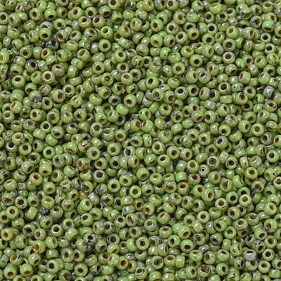 MIYUKI Round Rocailles Beads SEED-G007-RR4515-1