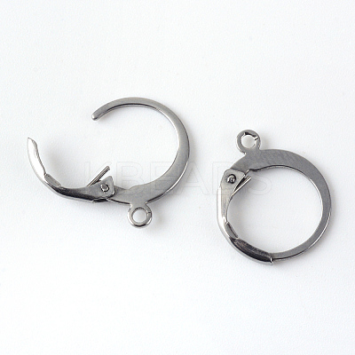 Tarnish Resistant 201 Stainless Steel Leverback Earring Findings LS-STAS-R065-71-1