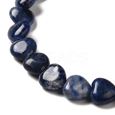 Natural Sodalite Beads Strands G-B022-18B-1
