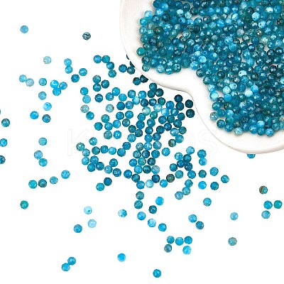 Natural Apatite Beads Strands G-AR0001-84-1