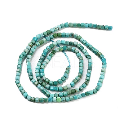Natural HuBei Turquoise Beads Strands G-H042-B34-01-1