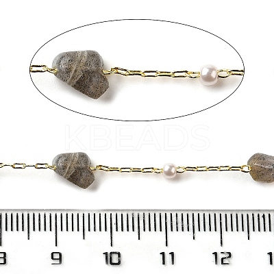 Handmade Natural Labradorite Nuggets Beaded Chains CHC-F020-04G-08-1