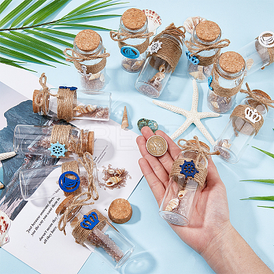12Pcs Natural Sea Shell Conch Bead in Transparent Glass Bottle Display Decorations AJEW-AB00165-1