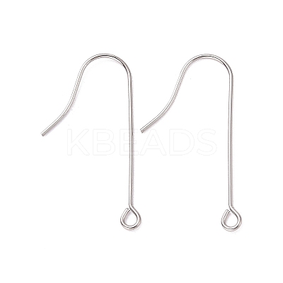 Tarnish Resistant 316 Surgical Stainless Steel Earring Hooks LS-STAS-E027-02B-P-1