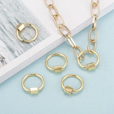 Brass Screw Carabiner Lock Charms LS-KK-T047-06G-1