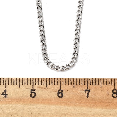 Non-Tarnish 304 Stainless Steel Curb Chain Necklaces NJEW-L162-01C-P-1