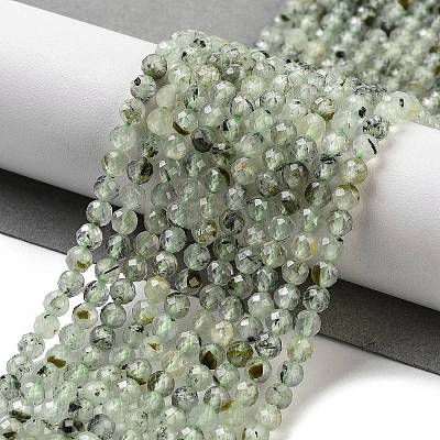 Natural Prehnite Beads Strands G-G140-A19-03-1