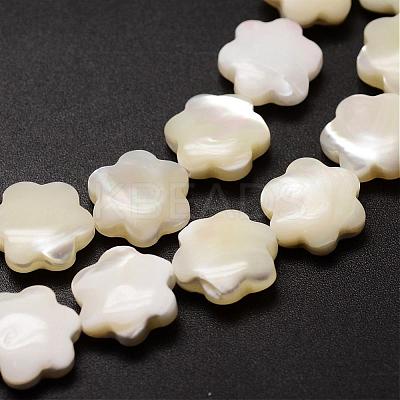 Natural Trochid Shell/Trochus Shell Beads Strands SSHEL-K010-03-1