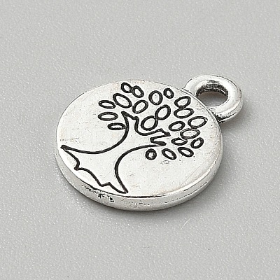 Tibetan Style Alloy Pendants FIND-WH0818-10AS-14-1