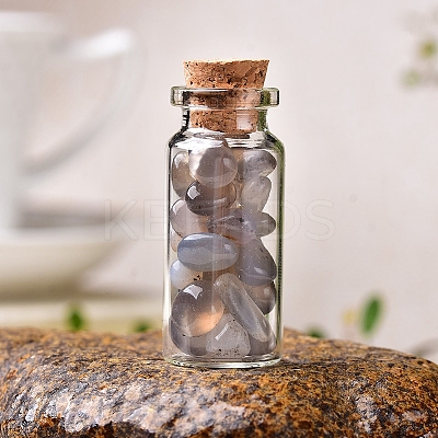 Glass Wishing Bottles PW-WG27717-16-1