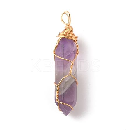 Natural Amethyst Double Terminated Pointed Pendants LS-G-TAC0010-04G-02-1