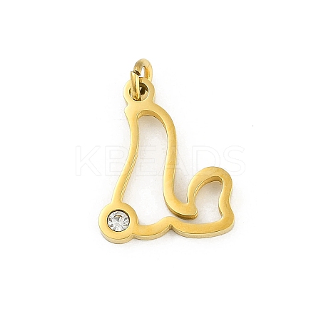 304 Stainless Steel Pendants STAS-R137-01G-L-1