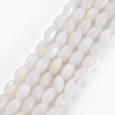 Natural Freshwater Shell Beads Strands SHEL-N027-08A-1