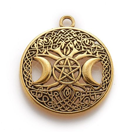 Tibetan Style Hollow Alloy Pendants TIBEP-F075-01AG-RS-1