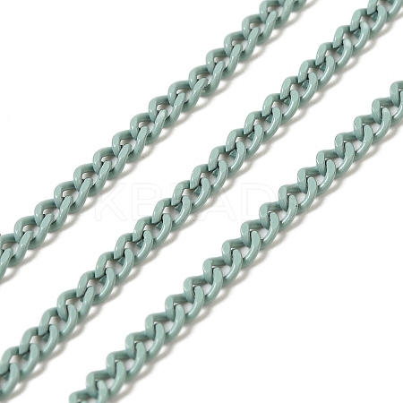 Spray Painted 304 Stainless Steel Curb Chains STAS-B067-05A-01-1