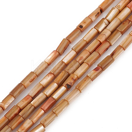 Natural Freshwater Shell Dyed Beads Strands SHEL-M018-11-11-1