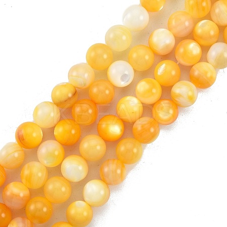 Natural Golden Yellow Shell Beads Strands SSHEL-G024-01D-1