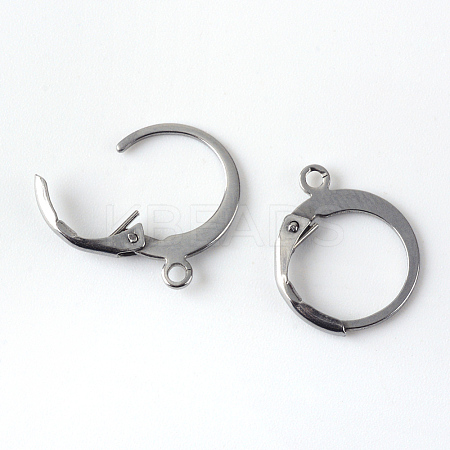 Tarnish Resistant 201 Stainless Steel Leverback Earring Findings LS-STAS-R065-71-1