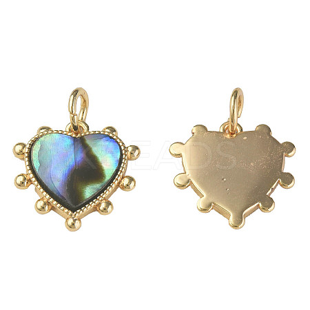 Synthetic Abalone Shell/Paua Shell Charms X-KK-N233-216-1