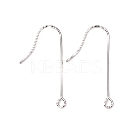 Tarnish Resistant 316 Surgical Stainless Steel Earring Hooks LS-STAS-E027-02B-P-1