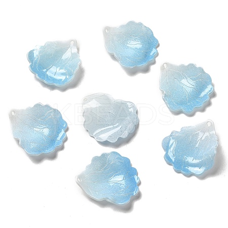 Acrylic Pendants SACR-C002-40C-1