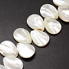 Natural Trochid Shell/Trochus Shell Beads Strands SSHEL-K009-08-3