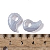 Natural Blue Lace Agate  European Beads G-M441-05-3