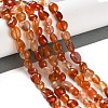 Natural Carnelian Beads Strands G-P497-01C-35-2