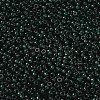 MIYUKI Round Rocailles Beads SEED-X0055-RR0156-2