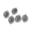 Platinum Tone Brass Natural Labradorite Links connectors LS-X-G-F339-B12-1