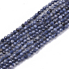 Natural Sapphire Beads Strands X-G-S361-2mm-009-1