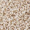 TOHO Round Seed Beads X-SEED-TR08-0751-2