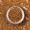FGB 11/0 Grade A Baking Paint Glass Seed Beads X-SEED-S030-1030-3