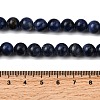 Natural Sodalite Beads Strands G-P582-8mm-02-5